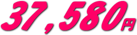 ハリアーハイブリッドの自動車保険料